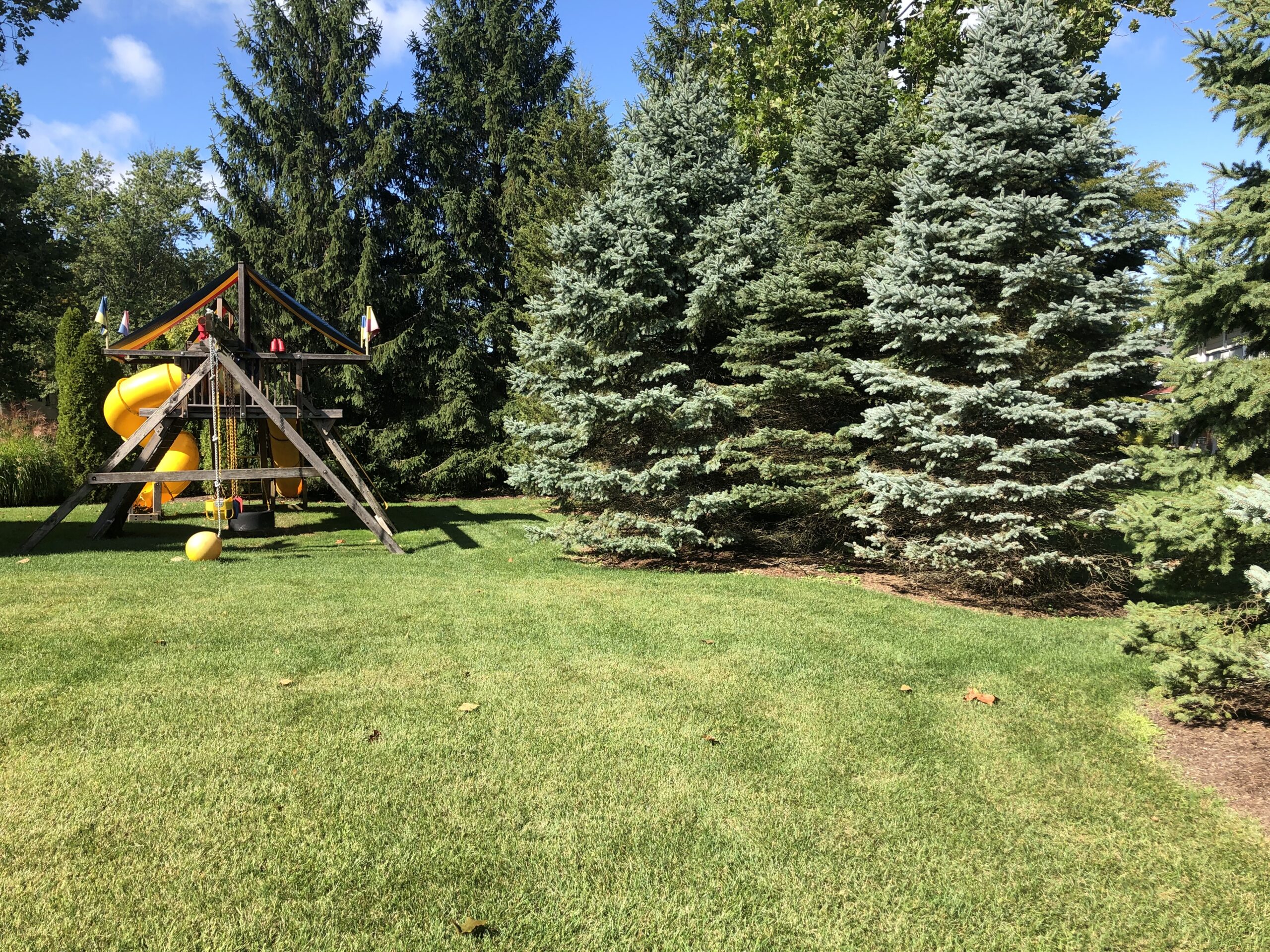 After transformation