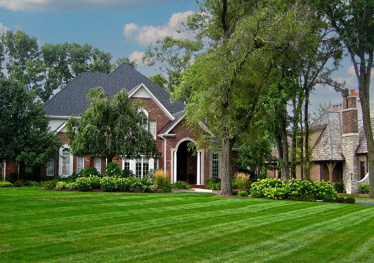 Landscape Maintenance