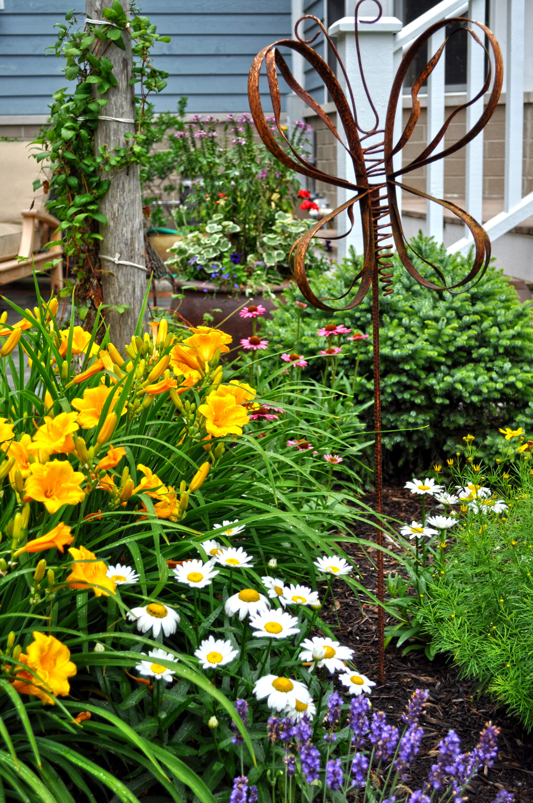 Seasonal color displays